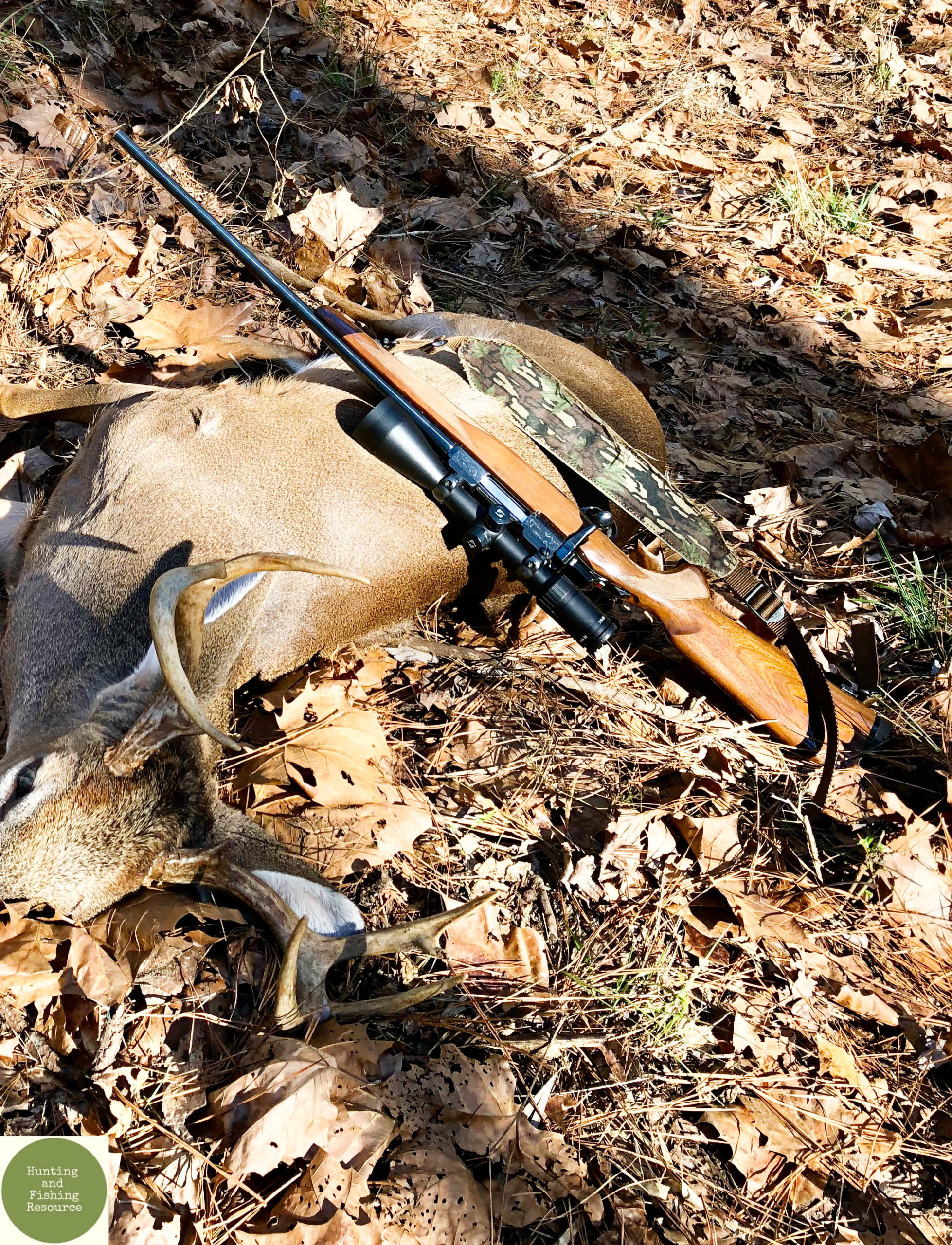 How to Choose the Best Hunting Rifle for Deer Season