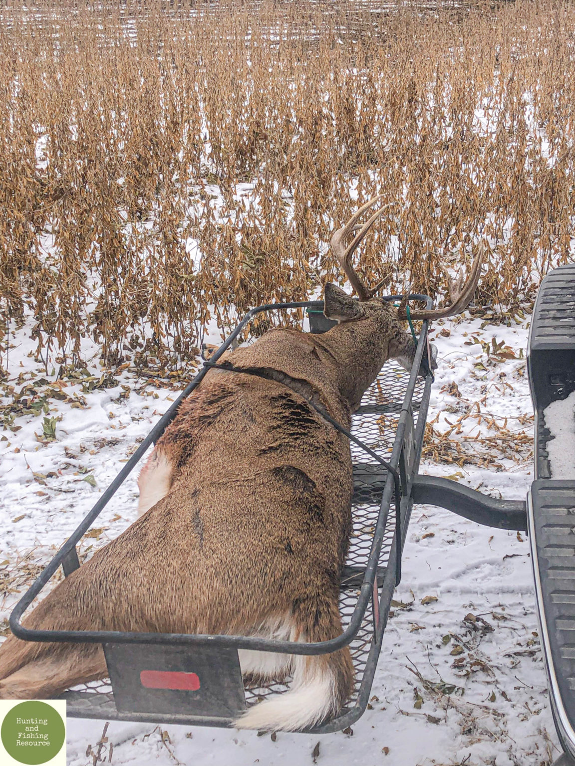 Preparing for Your First Outfitted Hunting Trip