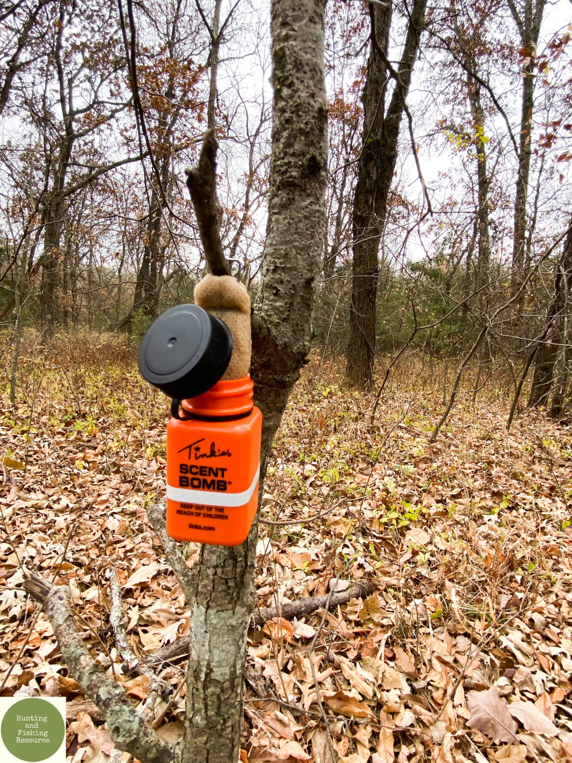 Why do Hunters Use Deer Scents to Attract other Deer?